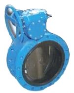 Flanged Concentric Disc Butterfly Valve