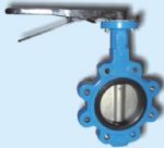 Butterfly Valve